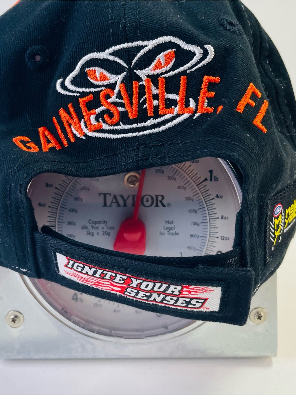 Amalie Orange & Black Gatornationals Baseball Cap - Picture 4 of 8